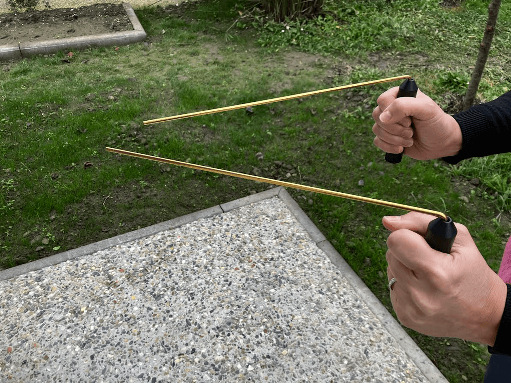 baguettes radiesthésie géobiologie arbres et sens