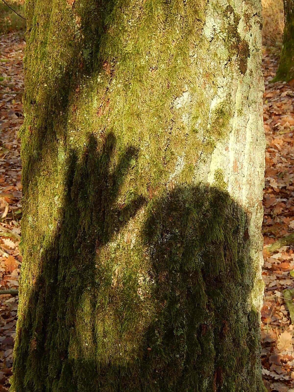 Ecorituel® « à la rencontre de mon moi véritable »